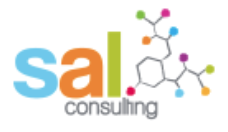 The logo for SAL Consulting features the letters "sal" in lowercase with "s" in light blue, "a" in orange, and "l" in green. Below "sal," the word "consulting" is written in gray. To the right, there is a molecular structure with multicolored nodes connected by gray lines.