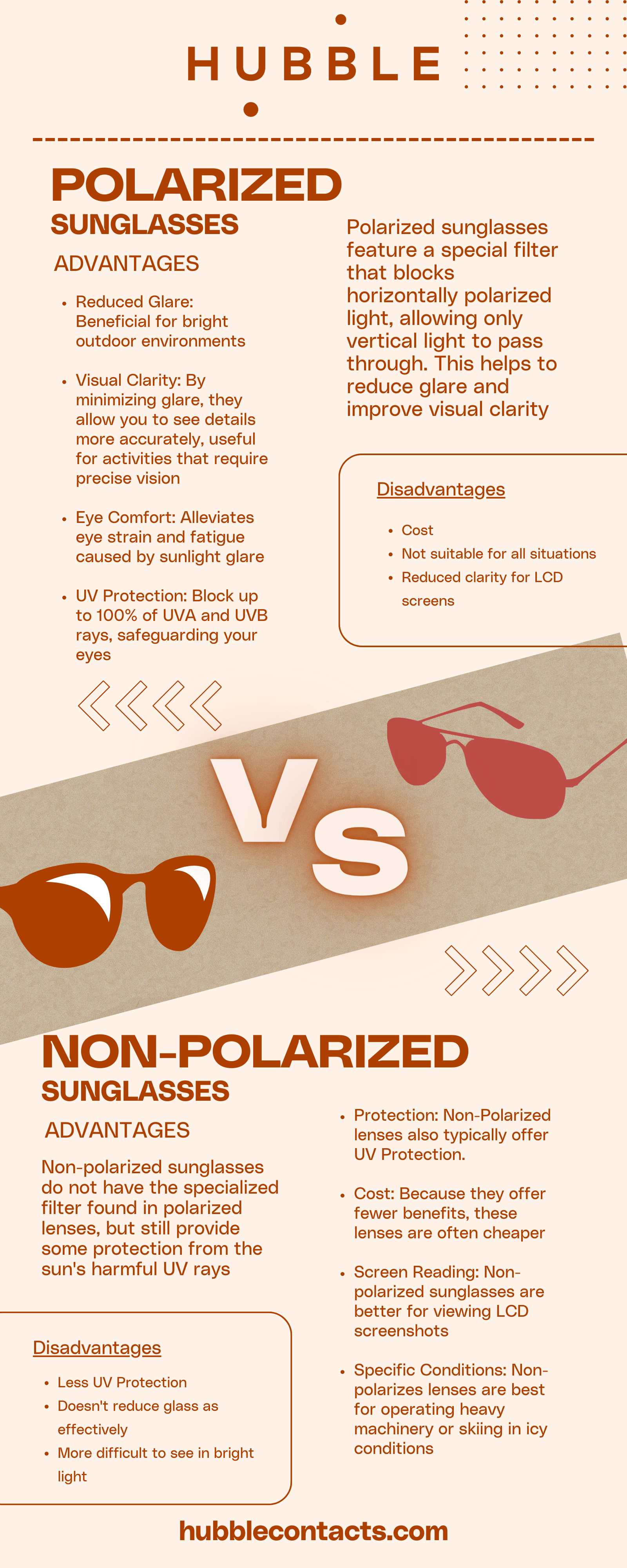 Polarized vs Non Polarized Sunglasses Infographic