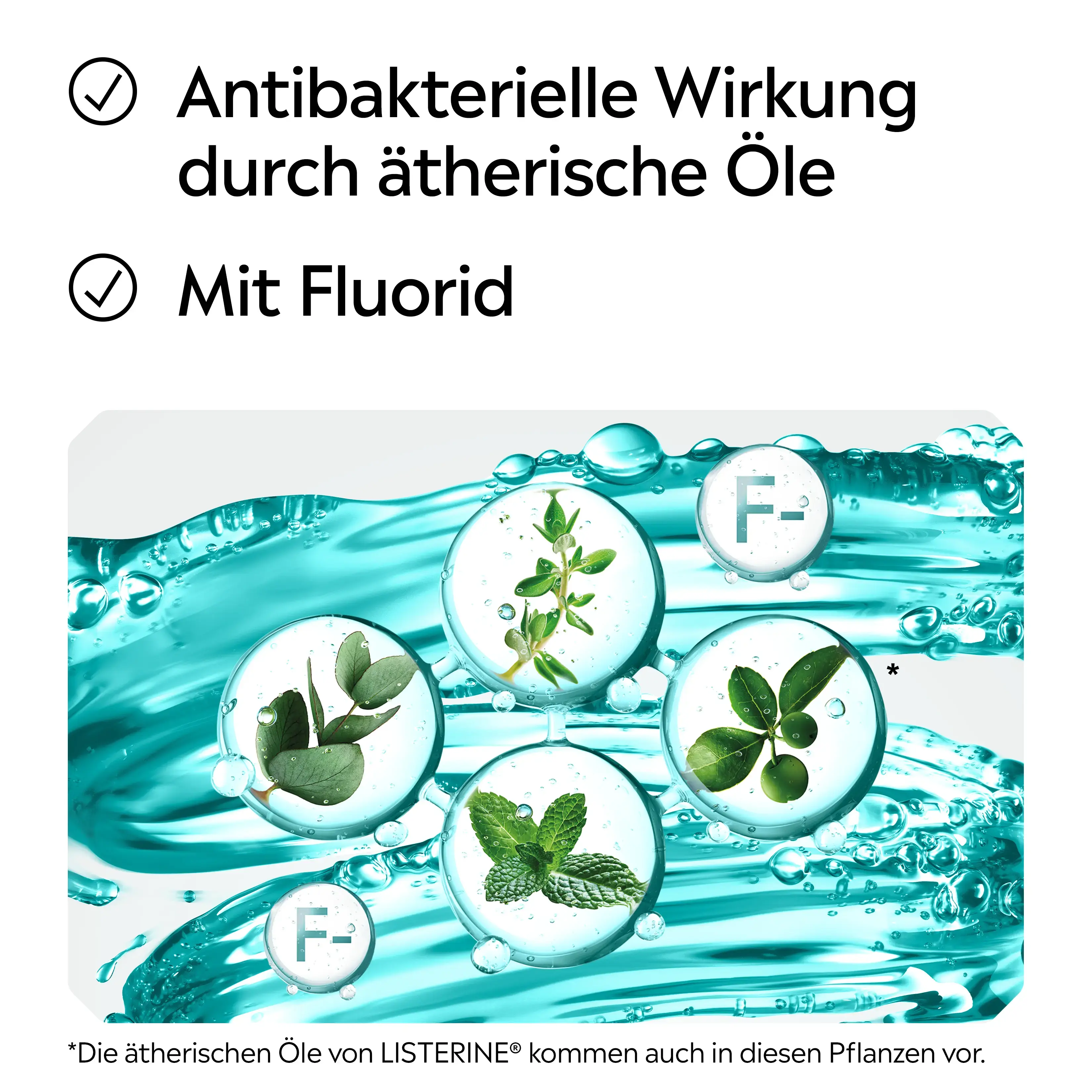 Darstellung ätherischer Öle und Fluorid als Wirkprinzipien bei LISTERINE®, mit Hinweis auf antibakterielle Wirkung.
