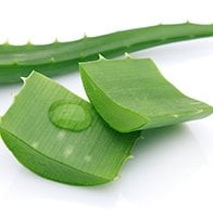 neutrogena-feuchtigkeitsspender-aloe-vera