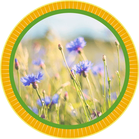 Wie behandle ich eine Allergie richtig? - Livocab