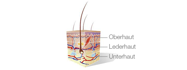 Unsere Haut - Image 2 - Neutrogena - de-DE