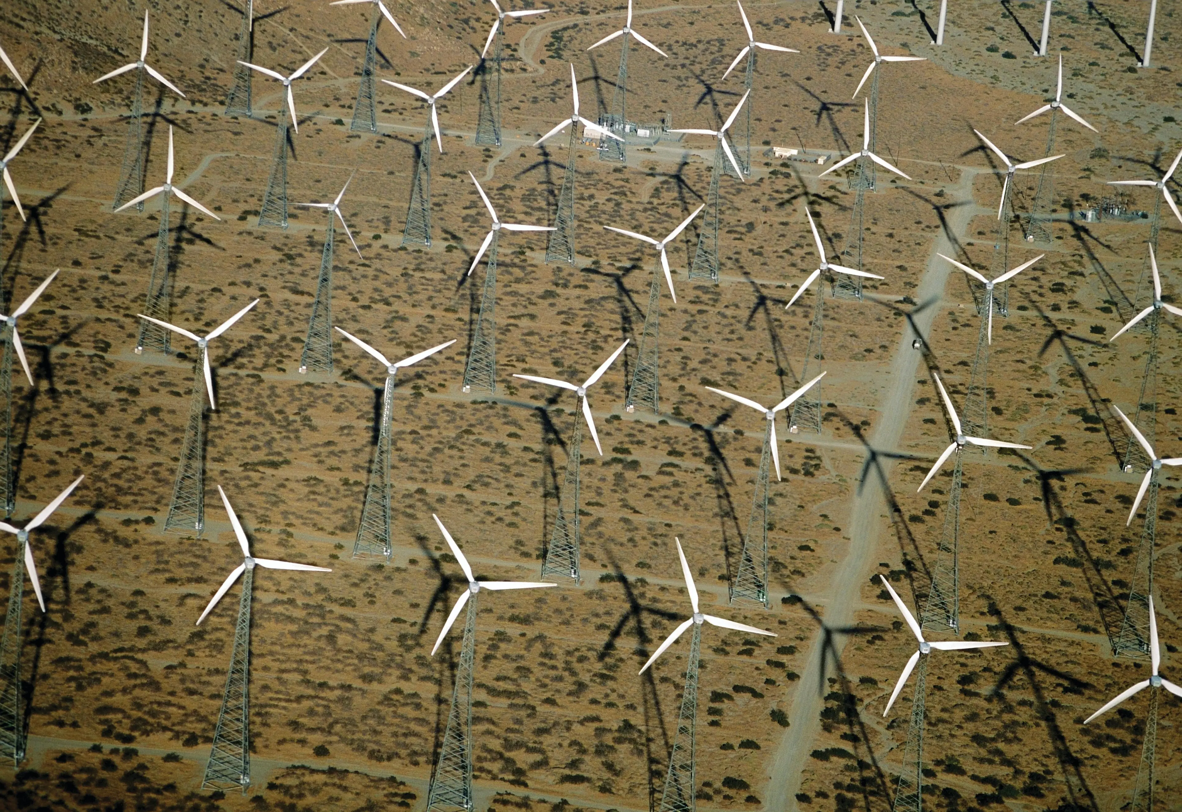 Windmühlen auf einem Feld