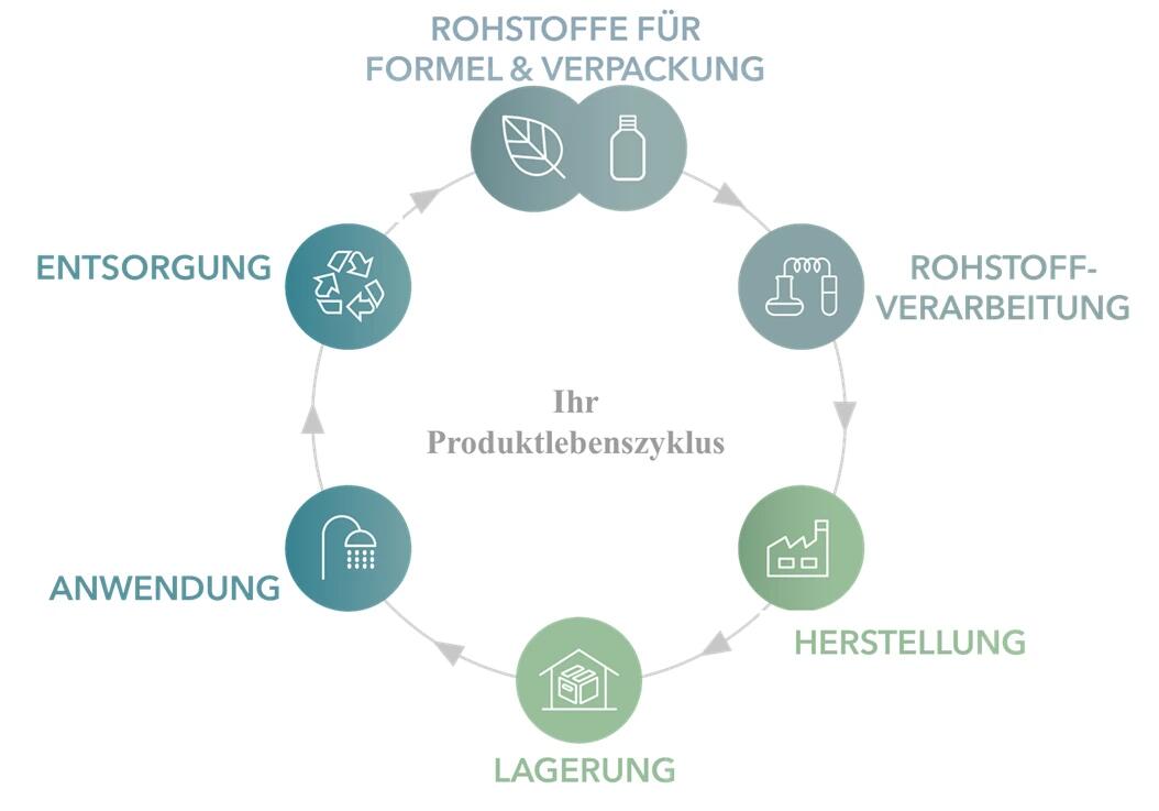 Dein Produktlebesnzyklus