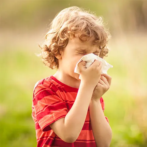 3.11 allergien bei kindern-category