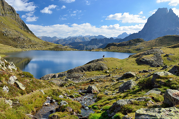 Urlaubsziele für Heuschnupfen-Geplagte - Image 4 - Livocab - de-DE