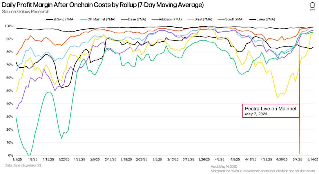 Ethereum Rollup Profit Margin