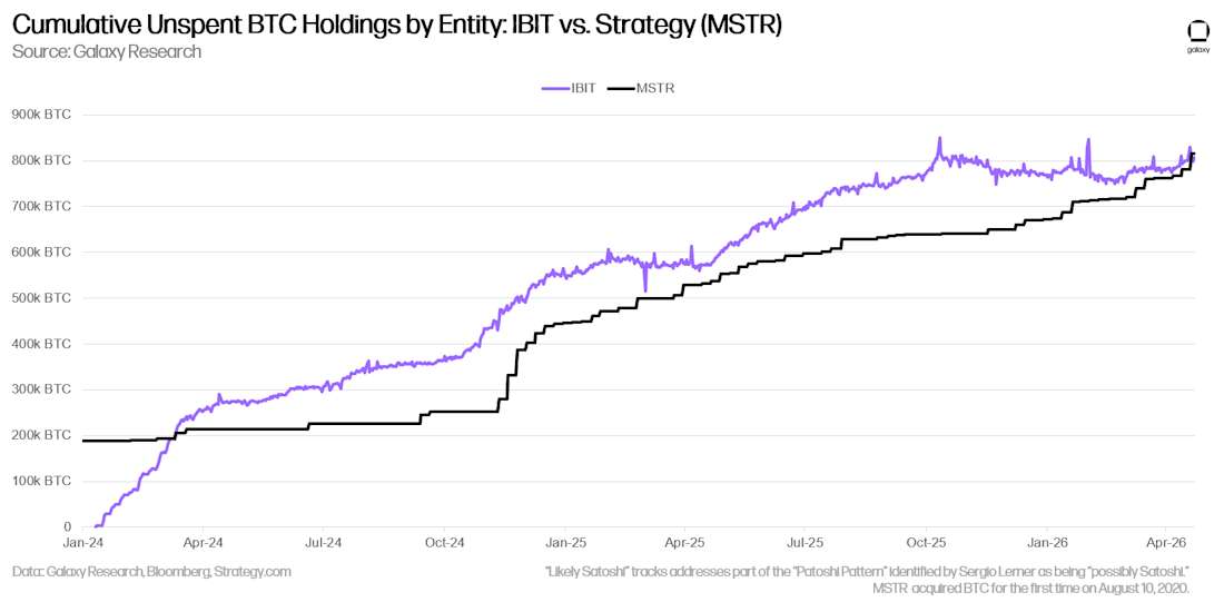 COTW 1 satoshi vs ibitg vs strategy BTC holdings 2024-pres