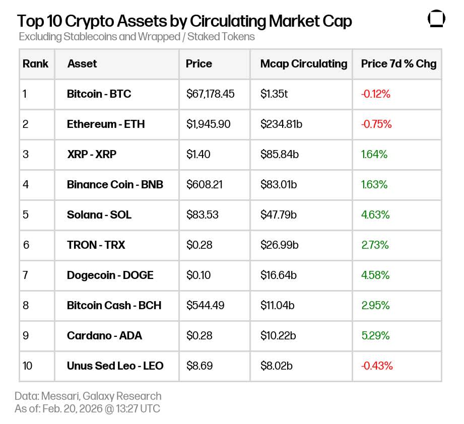 Market Update 2026-02-20 09.24.49