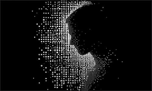 The Behavior of Polymarket Traders 
