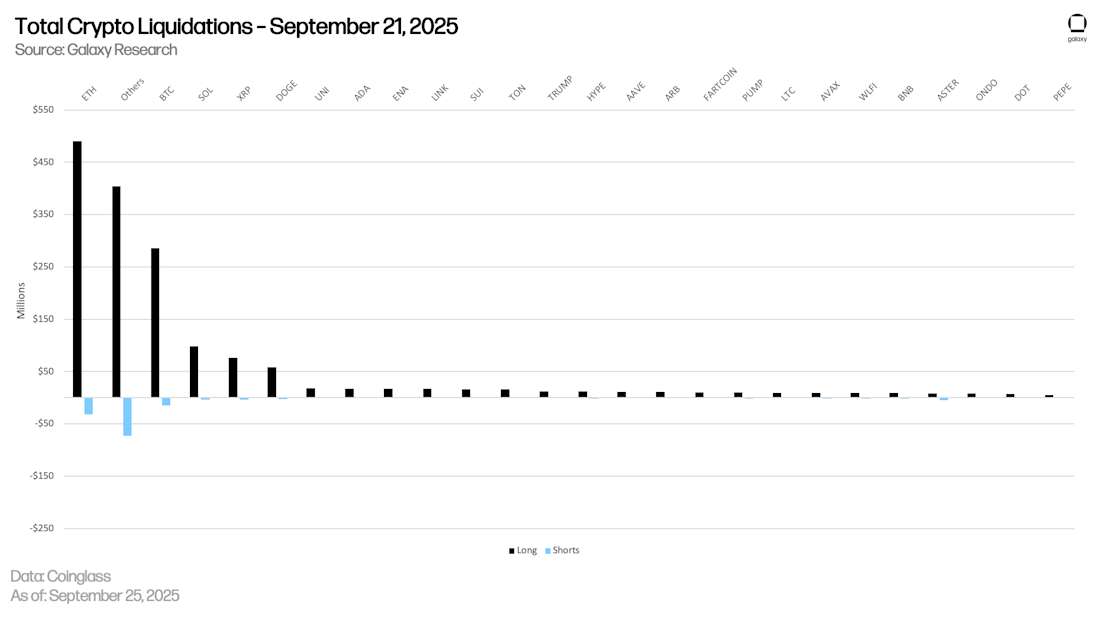 liquidation breakdown