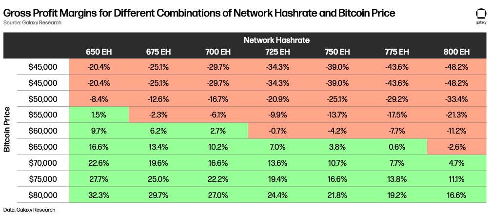 Gross Profit Margins for Different Combinations of Network Hashrate and Bitcoin Price - Table