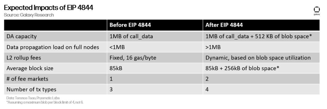 graphic 11