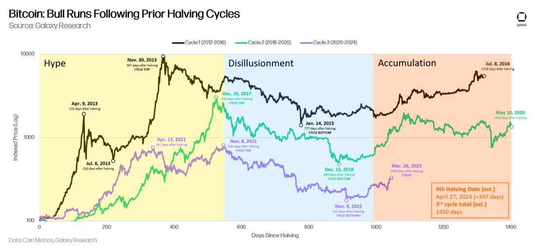 Bitcoin: Bull Runs Following Prior Halving Cycles - chart