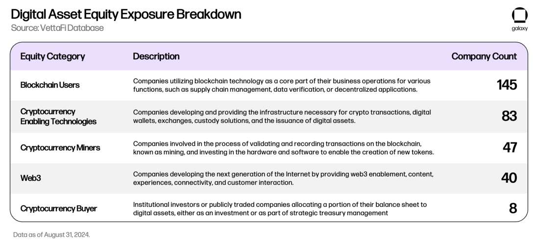 Digital Asset Equity Exposure Breakdown