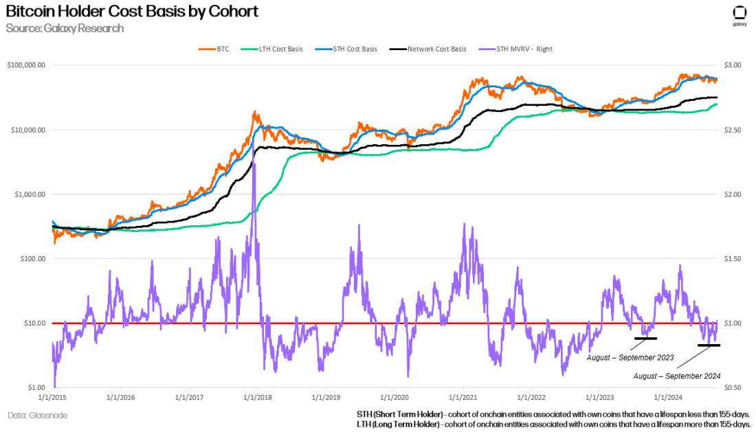 Bitcoin Holder Coat Basis by Cohort - Chart