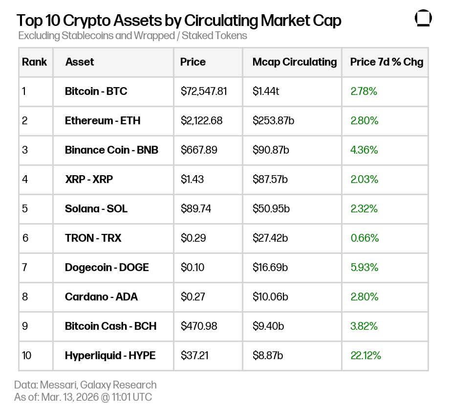 photo 2026-03-13 07.41.59