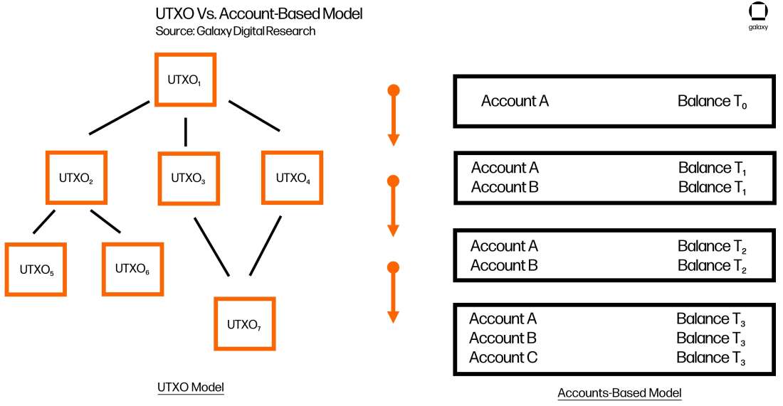 cropped-mev-chart4