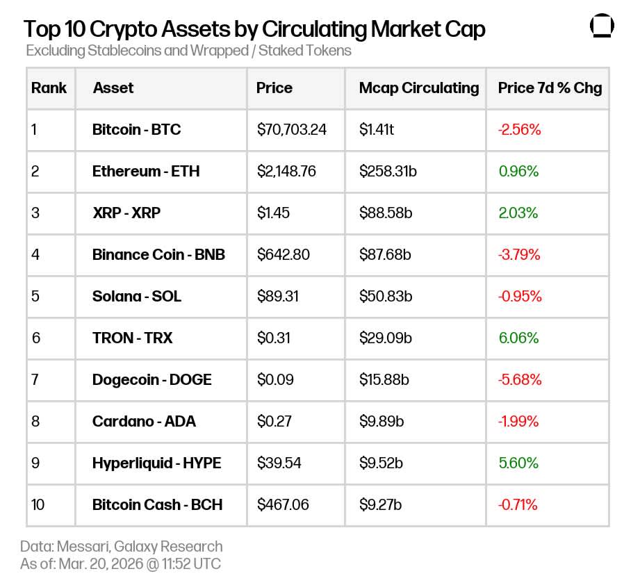 photo 2026-03-20 09.06.17