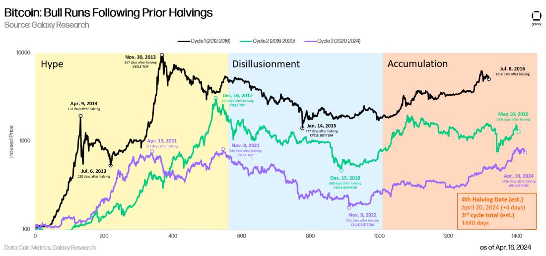 Bitcoin: Bull Runs Following Prior Halvings - Chart