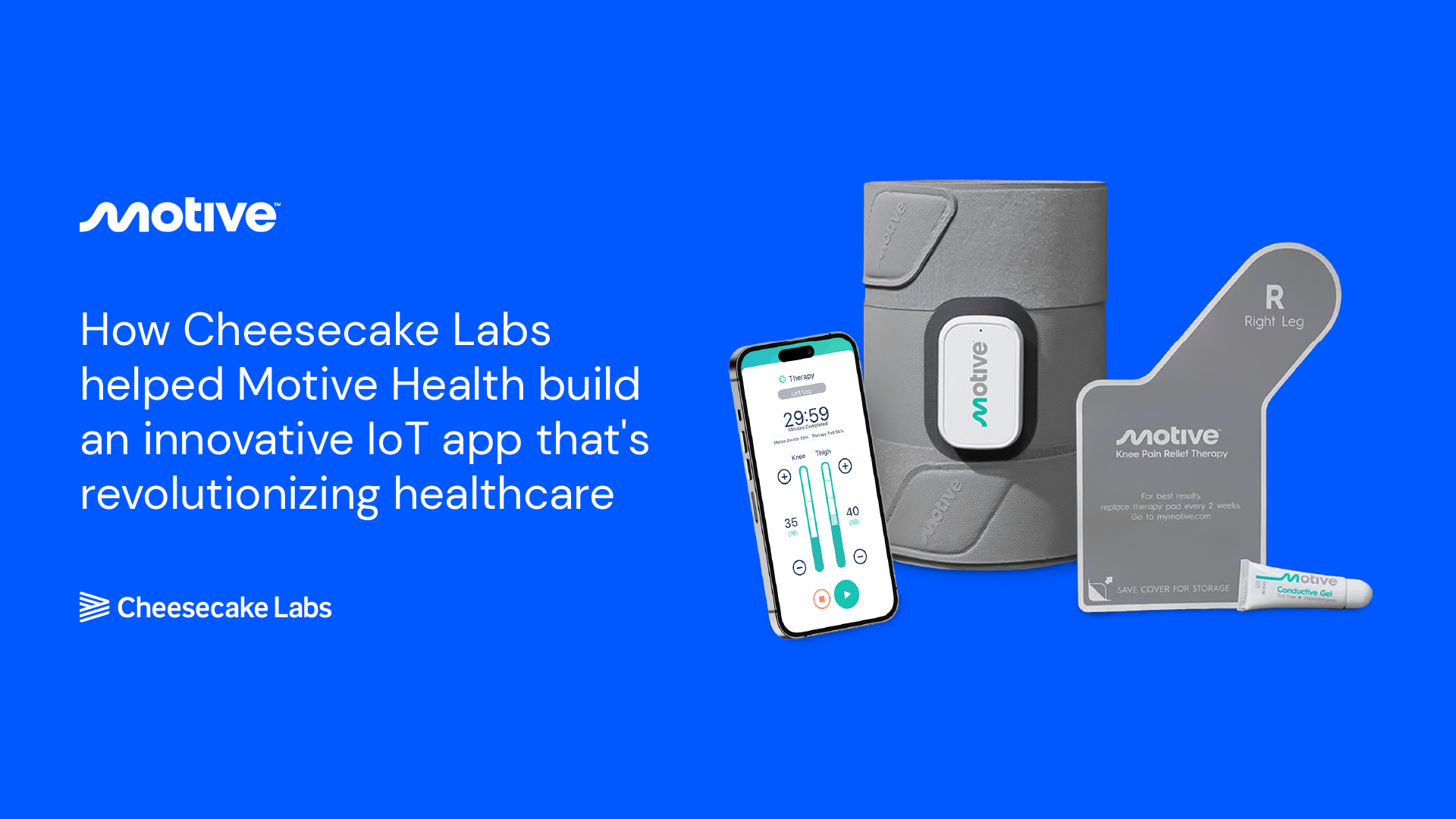 Case Study Motive Health Cheesecake Labs