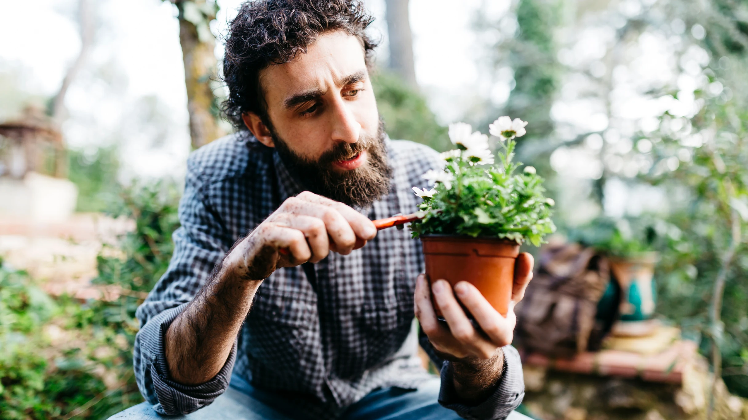 A bearded white man pruning for a potted plant in an outdoor garden.