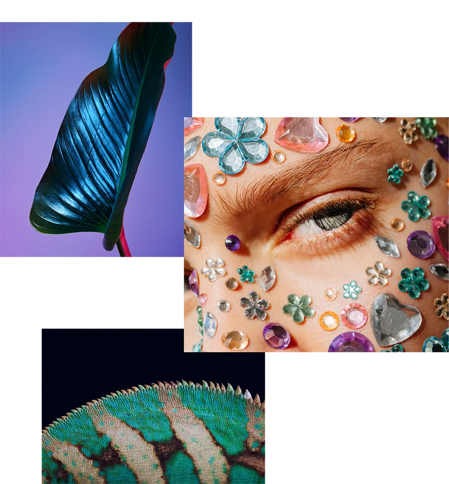 Colourful, bright images with a glossy leaf, a chameleon's back and rhinestones around someone's eye