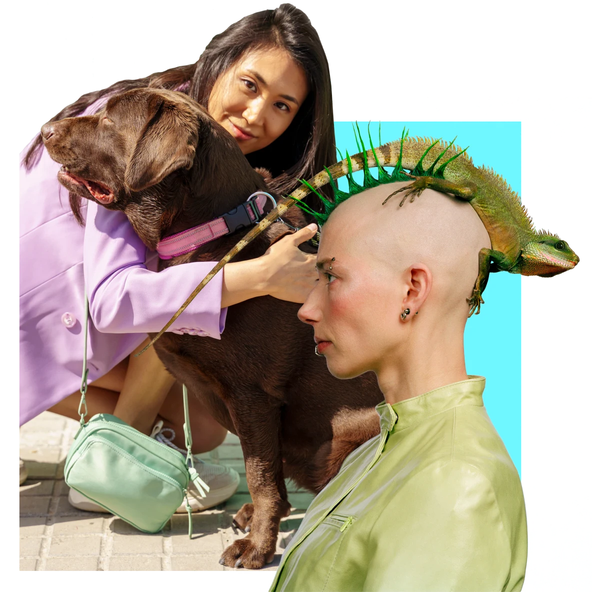East Asian woman at left hugs a brown dog. White woman at right with spiky hair and an iguana on top of her head.
