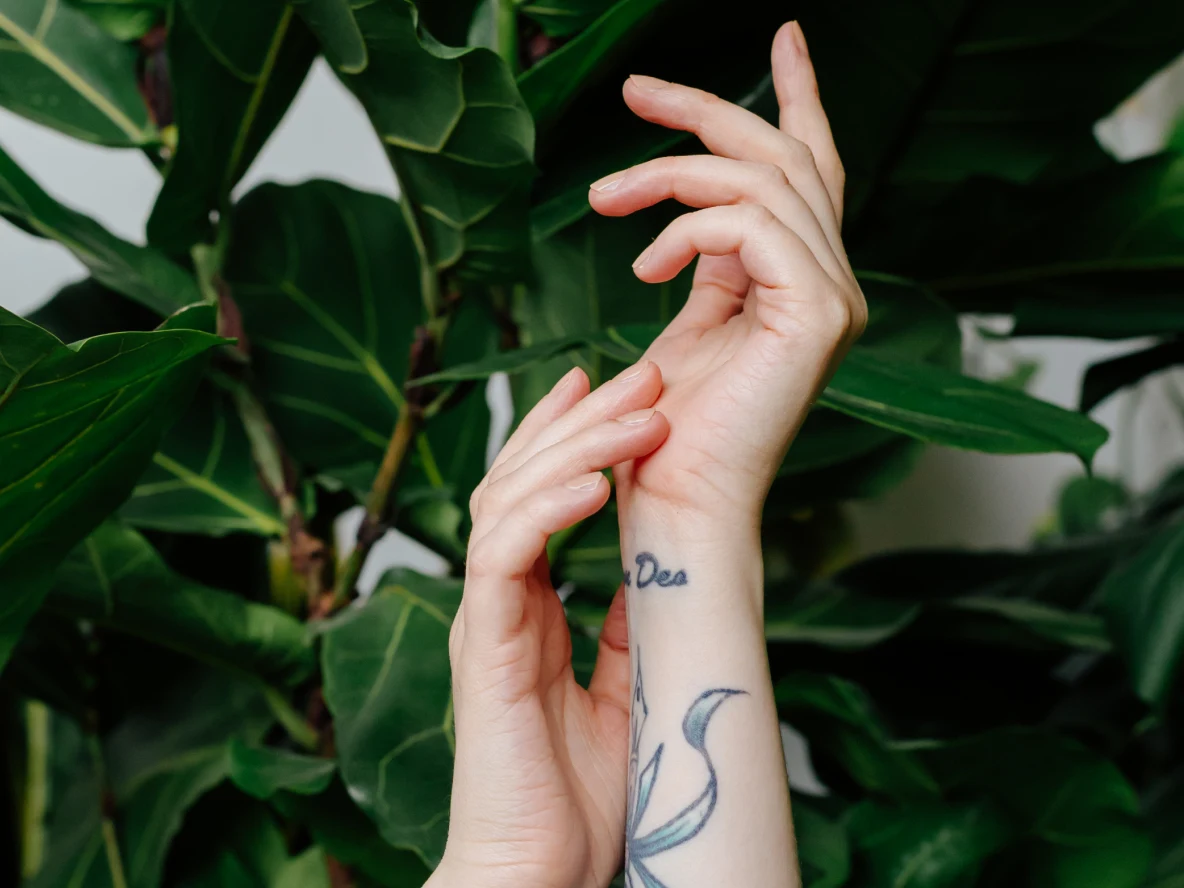 Two hands in front of a green plant