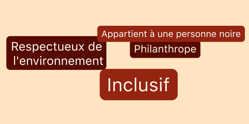 Quatre bulles de texte réparties sur un fond beige, chacune contenant l’une des phrases suivantes : Appartient à une personne noire, Respectueux de l’environnement, Philanthrope et Inclusif.