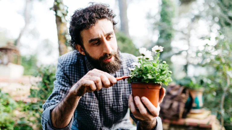 Un hombre blanco con barba poda una planta en maceta en un jardín al aire libre.