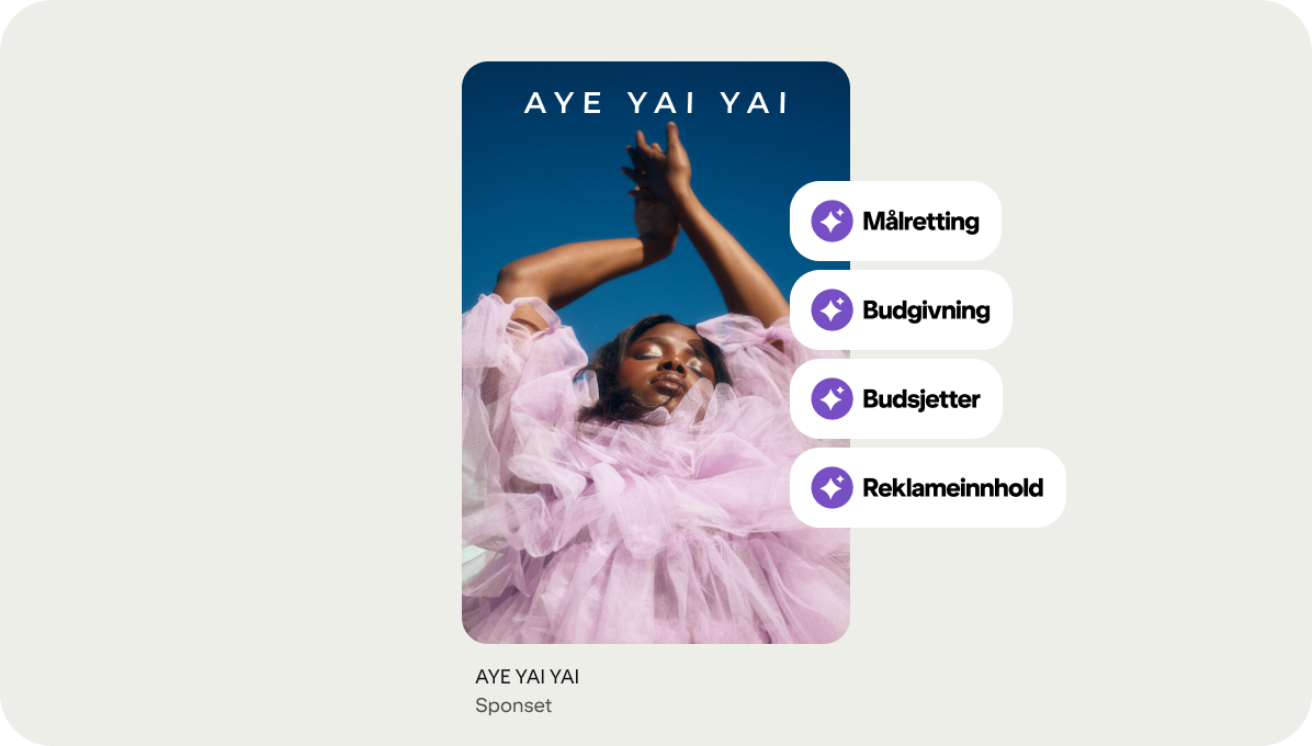 En produkt-Pin fra et merke som heter Aye Yai Yai, bruker Pinterest Performance+-funksjoner som målretting, budgivning, budsjetter og reklameinnhold.