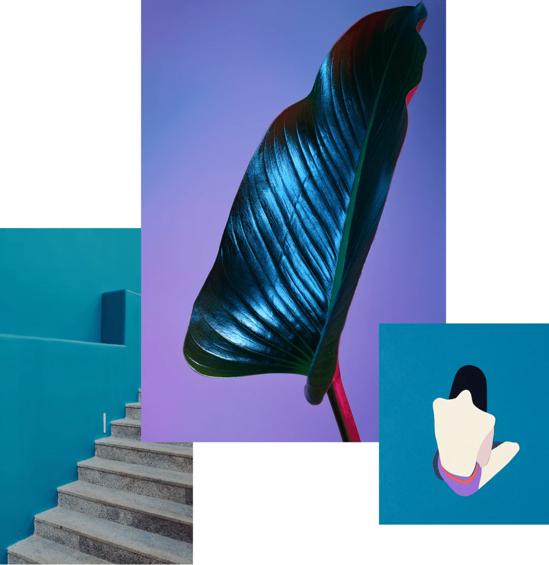 Image cluster featuring: stone staircase in front of bright blue wall, dark green plant leaf in front of a purple backdrop and illustration of a woman with dark hair sitting crosslegged with a bare back. 