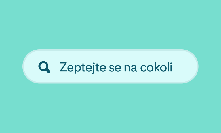  A green search box with the words “Ask us anything”