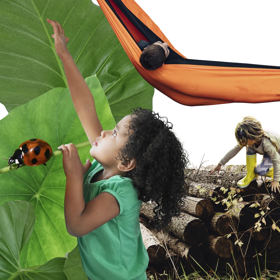 À esquerda, menina negra de camiseta verde tenta alcançar grandes folhas verdes. Uma joaninha rasteja à esquerda. À direita, menina branca sobe em troncos de árvore cortados. No topo, menino branco descansa em uma rede laranja.
