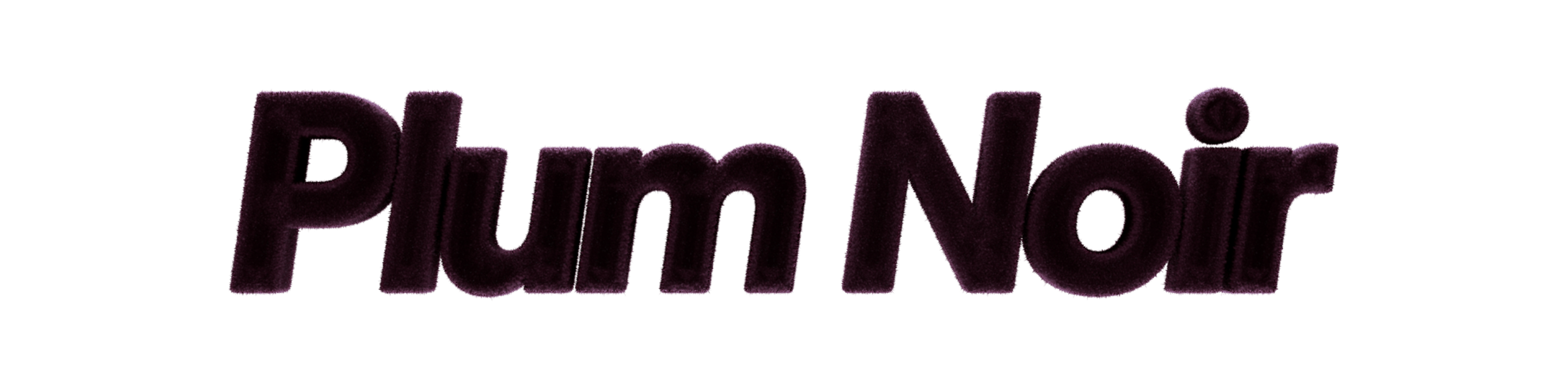 The words “Plum Noir” in a bold and dark purple font. 