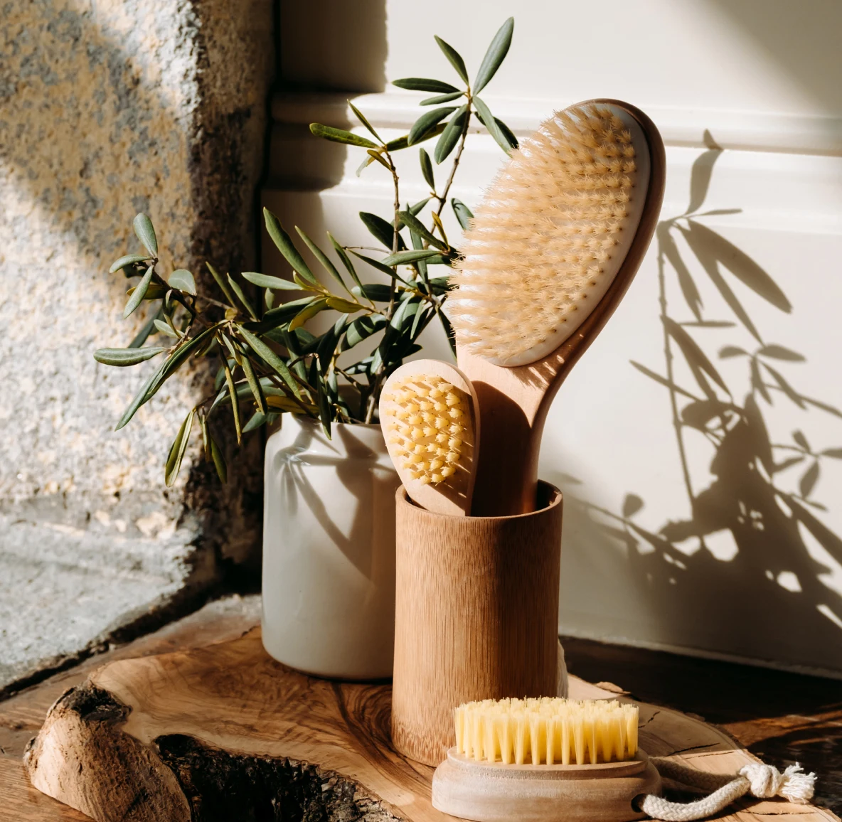 Wooden hair brushes in a wooden container next to a green plant