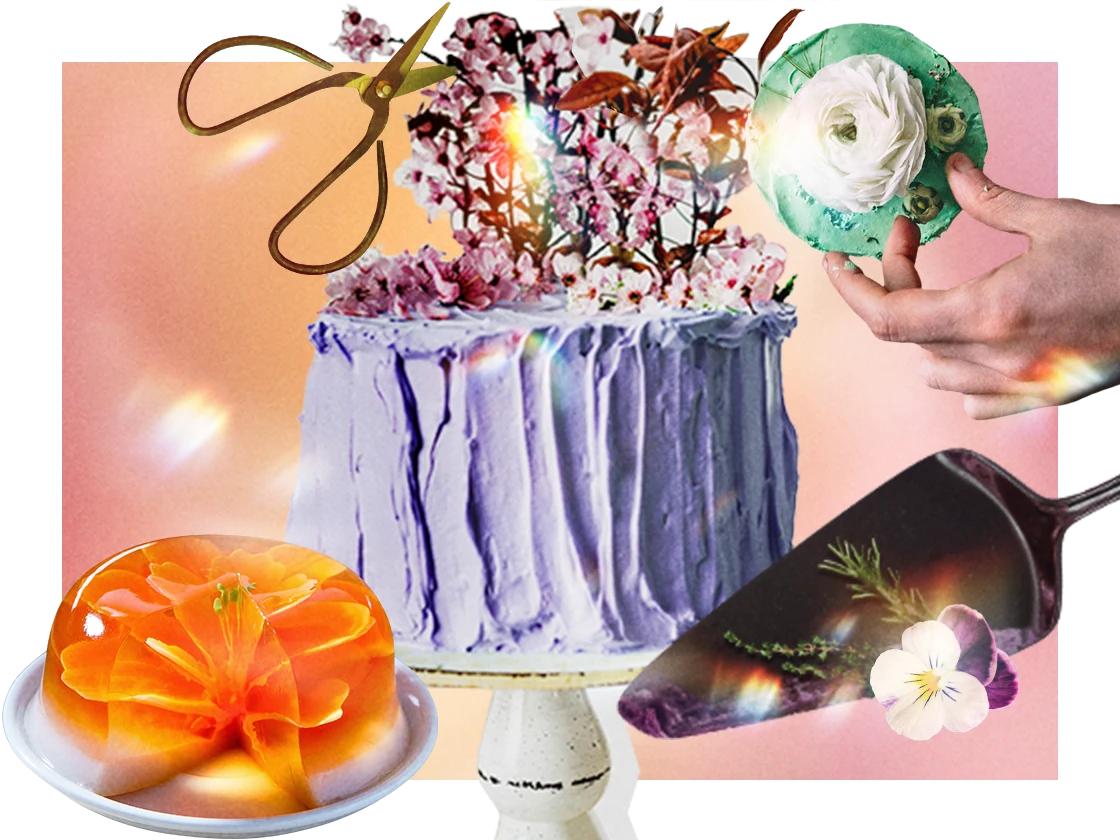 Collage of a white hand decorating a cupcake, along with pieces of cake and various decorating tools. 