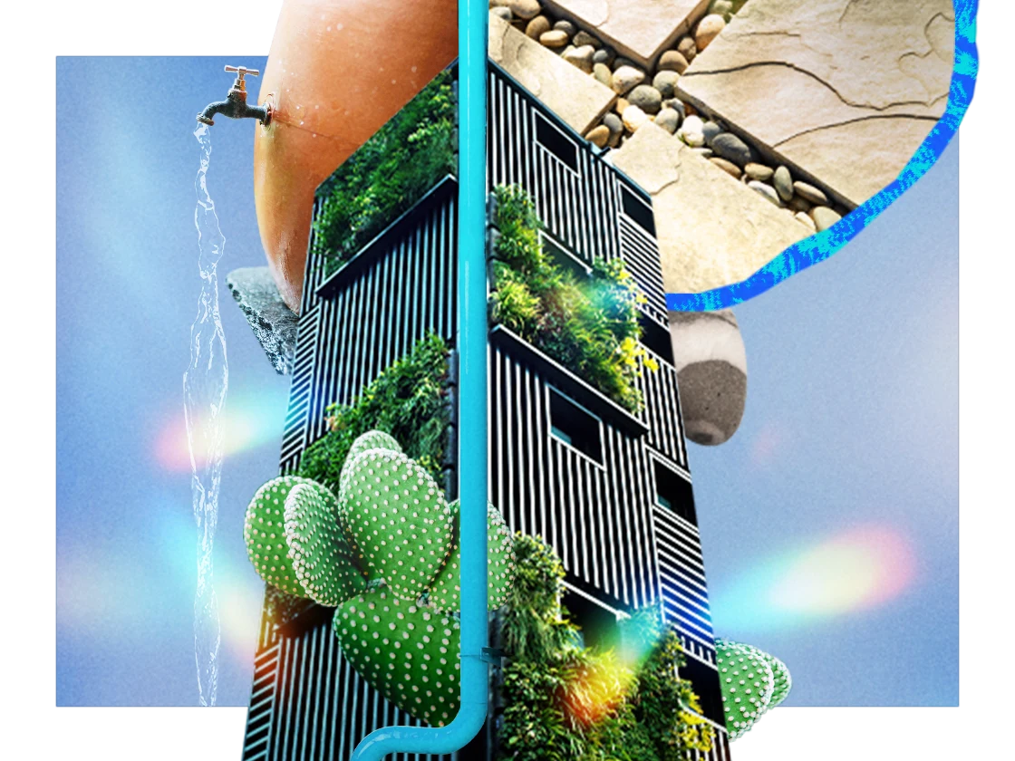 Collage mit einem Kiesweg, einer Kaktuspflanze, einer fließenden Wasserquelle und einem Garten.