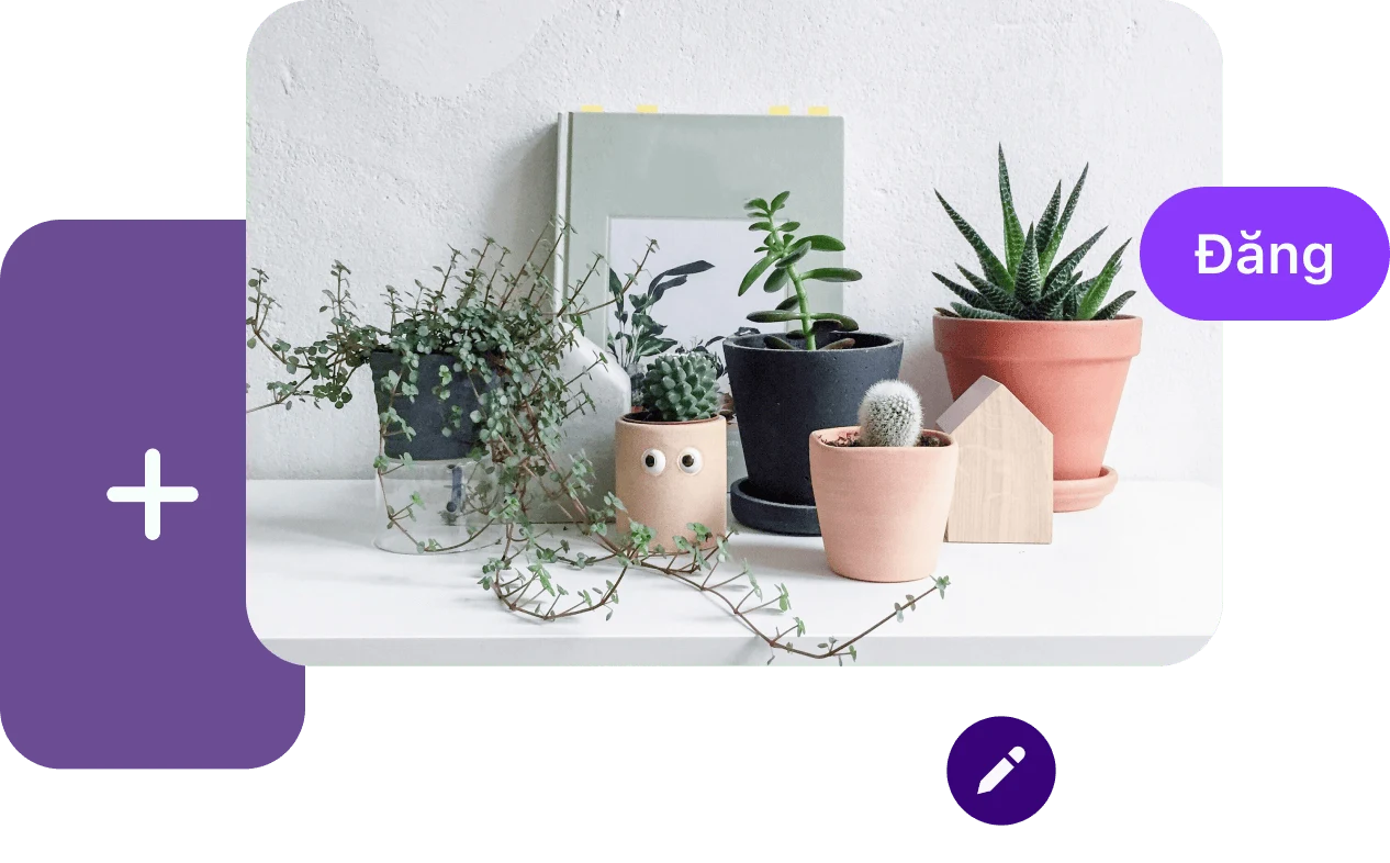 Ghim nằm phía trên cùng của các ô kiểu hoạt hình và các nút Pinterest, trong đó có nút "Đăng" ở bên phải.  Ở giữa là hình ảnh chiếc kệ trắng đặt một vài chậu cây. Khung tranh màu xanh lục nhạt đặt phía sau. 