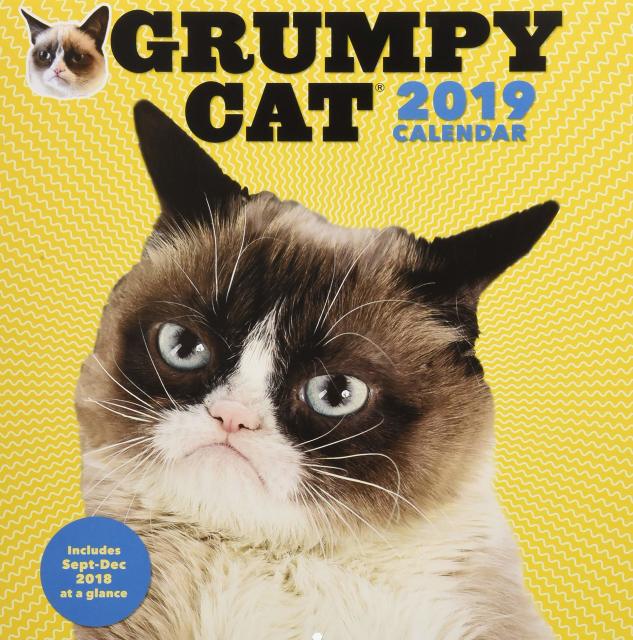 The world’s grumpiest cat! Grumpy Cat®