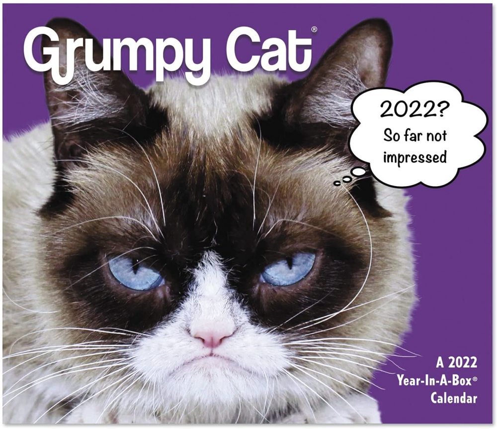 2022 Grumpy Cat Year-In-A-Box Calendar