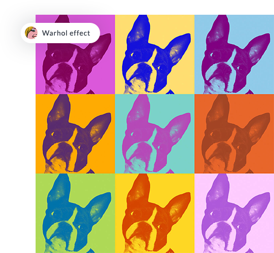 Dog collage using the colorful Warhol effect in Picmonkey