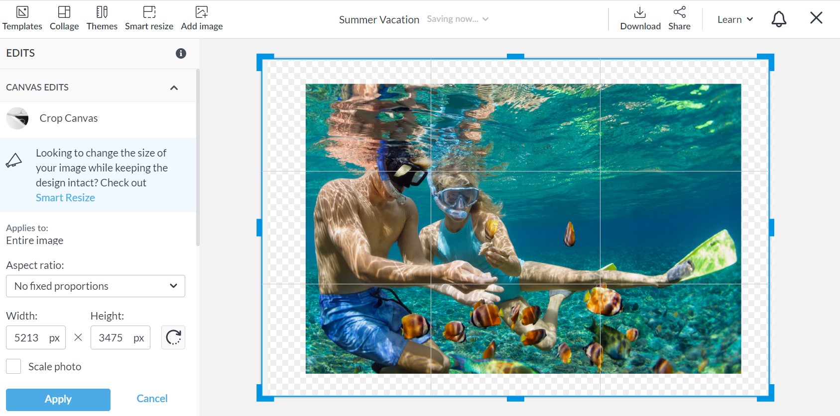 How to crop and resize in New PicMonkey PicMonkey Help and Support