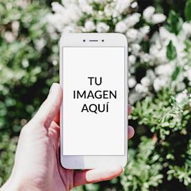 Simulacros de plantilla de publicación de Instagram de teléfono