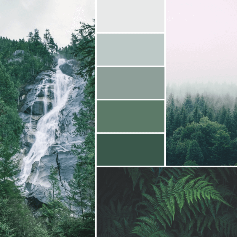 Green color palette made from nature images. 