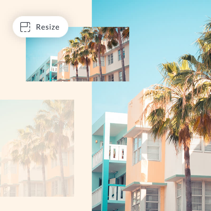 Resize picture options for tropical environment: palm trees alongside beige and blue buildings and light blue sky in background.