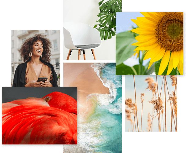 Ver nuestras fotos de archivo