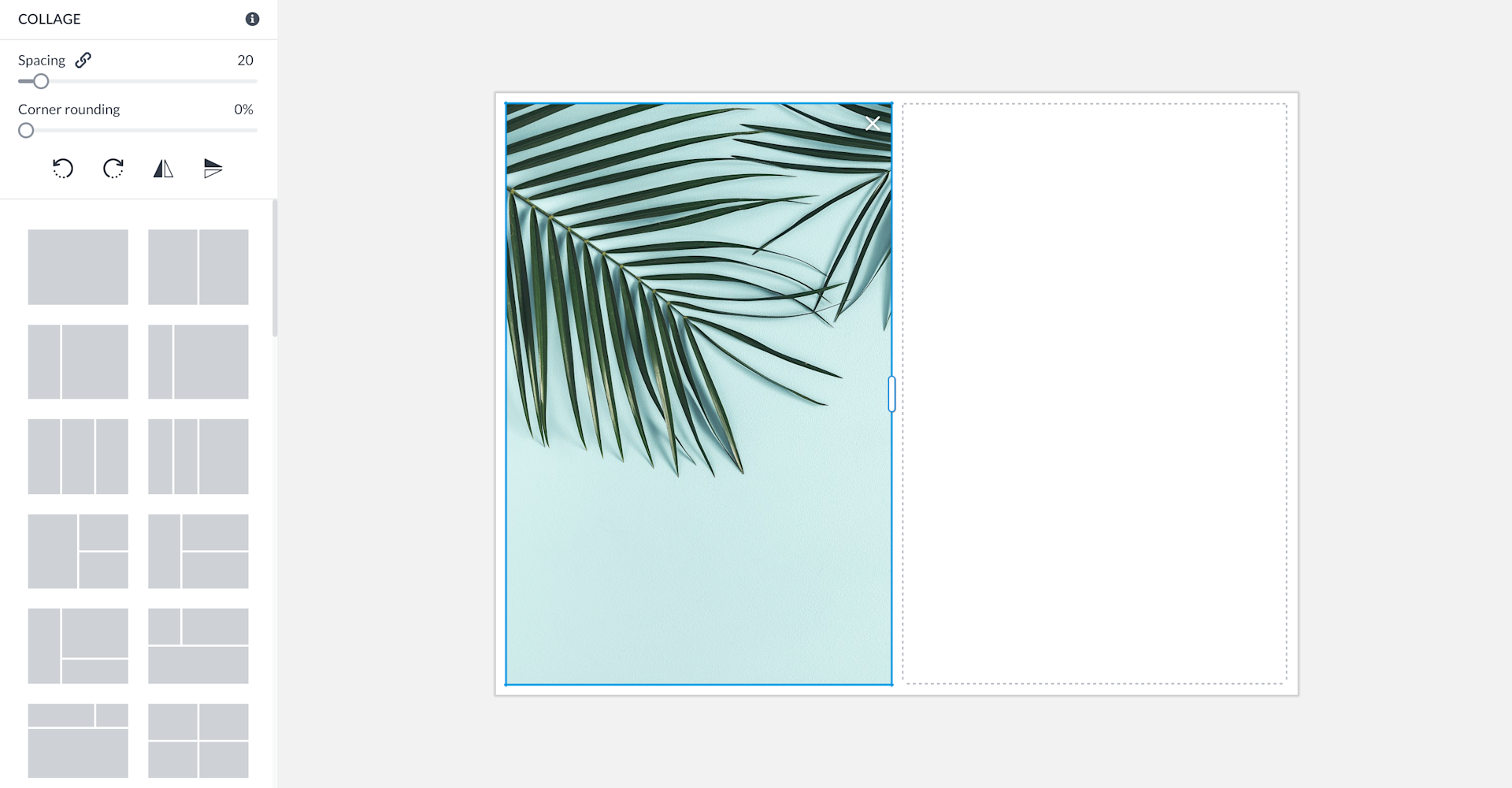 How to Make a Side by Side Photo | Put Two Pictures Together | PicMonkey