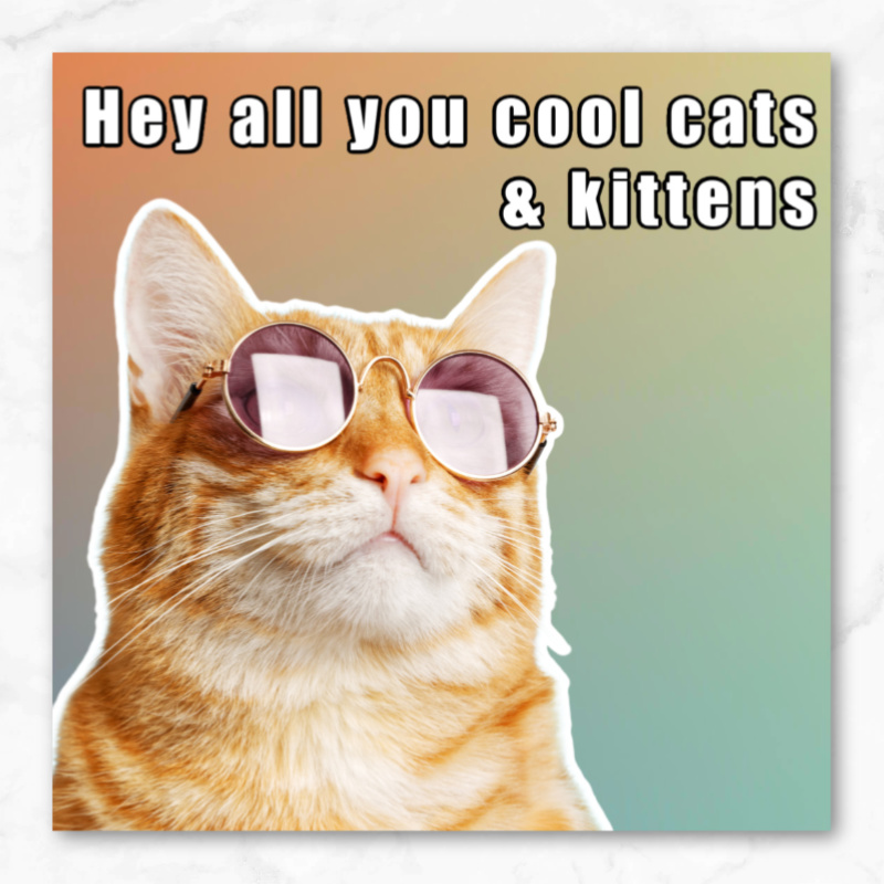 make a meme in minutes